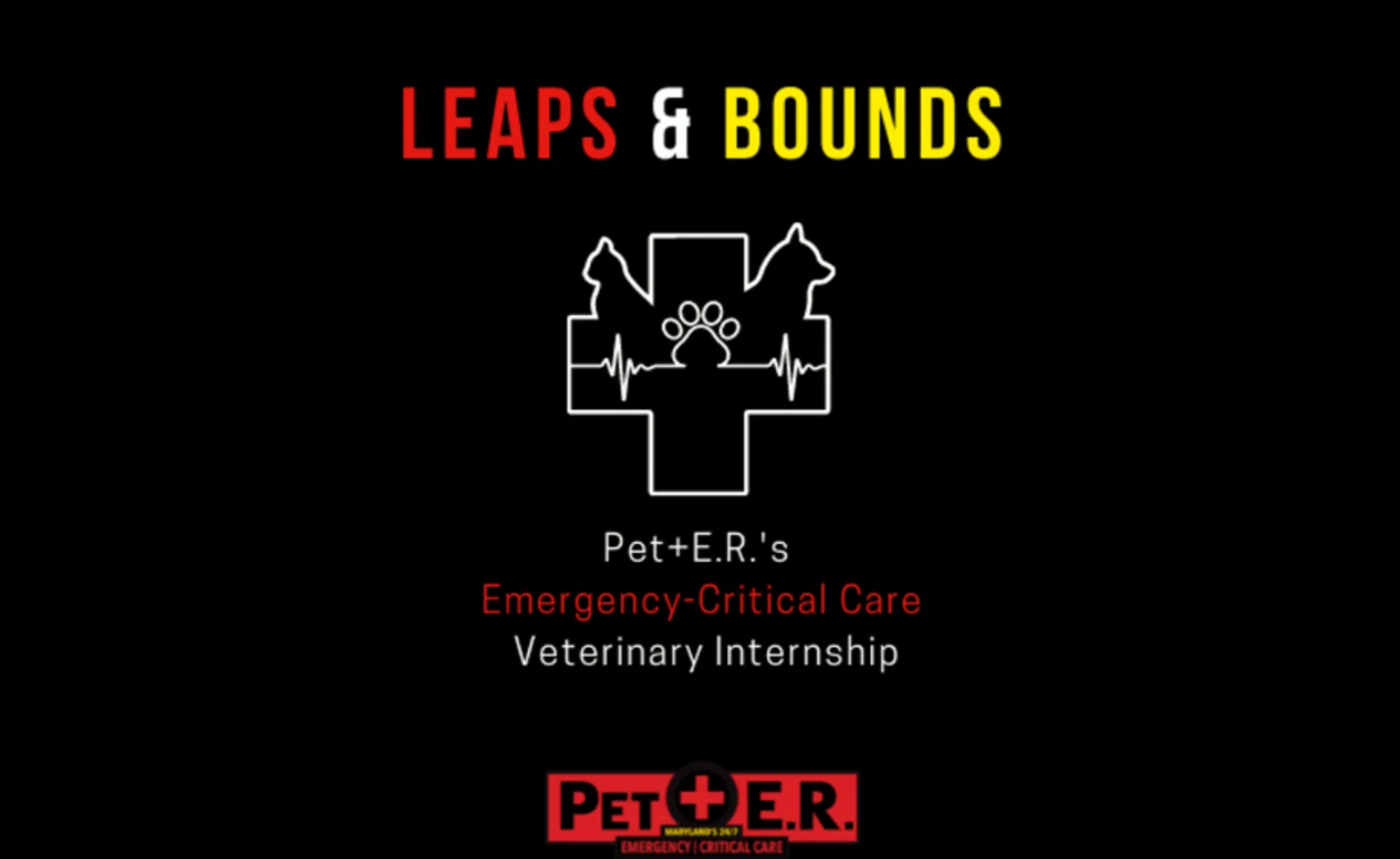 PetER Internship Program - Leaps & Bounds Logo
